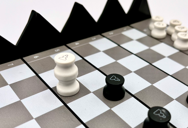 a magnetic chess set used for checkers too